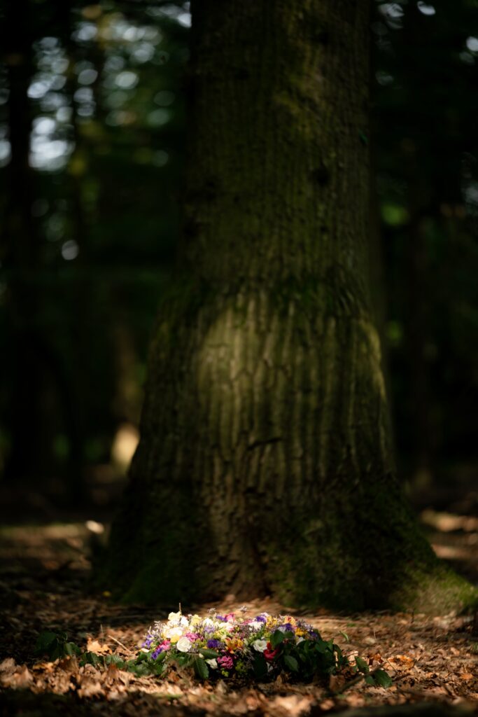 Zurückkehren in den ewigen Kreislauf der Natur - ein Baumgrab am Tag der Beisetzung
